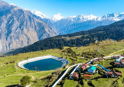 Auli