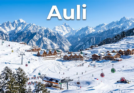Auli
